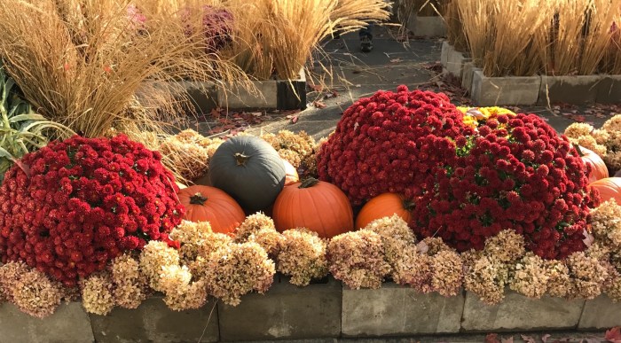 Image of fall decorations in Quebec City