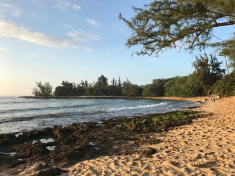 hawaii-beach-1