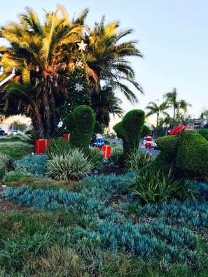 Image of topiary in the shape of dolphins at Christmas