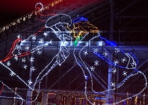 Image of the Speedway Christmas Lights