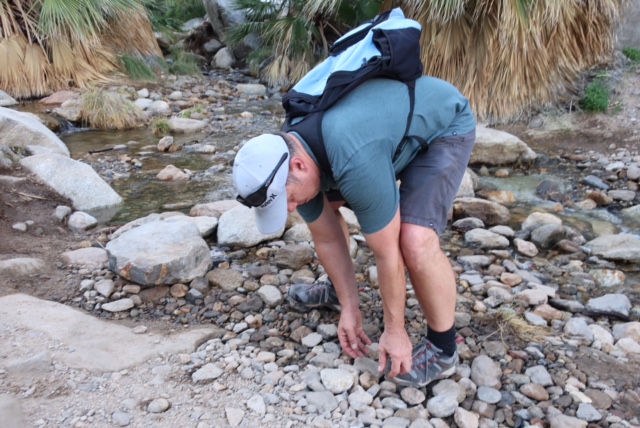 Image of catching frogs.