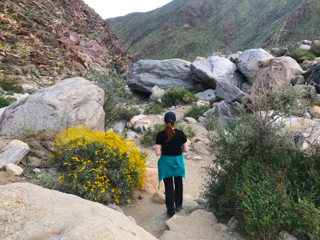 Image of the desert.