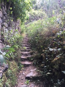 Image of Cinque Terre Hiking Trail