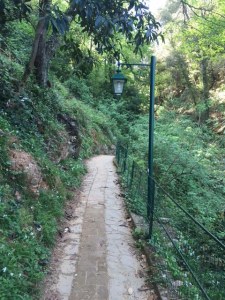 Image of trail to Portofino