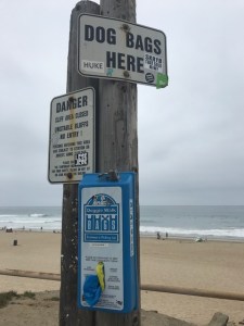 Image of dog bags at Dog Beach.