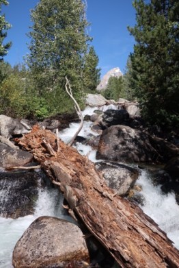 Image of the Grand Tetons