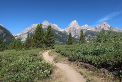Image of Grand Tetons