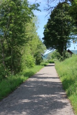 Image of the Donauradweg