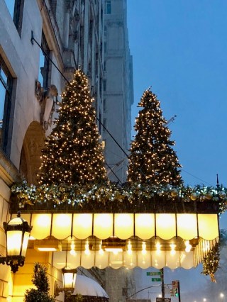 Image of decorated Christmas trees on an awning.
