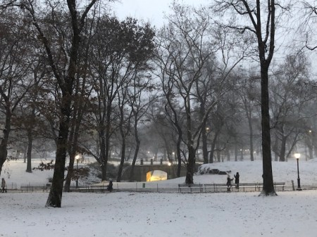 Image of snow in Central Park.