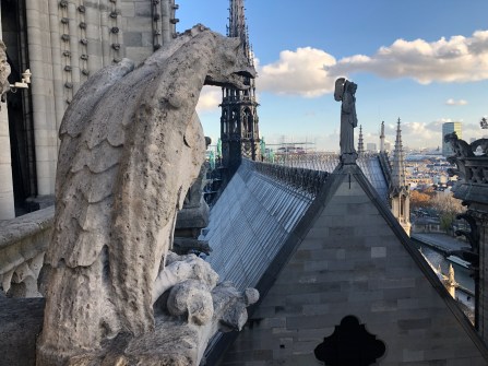 Image of Rooftop of Notre Dame
